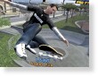 Tony Hawk Pro Skater 4